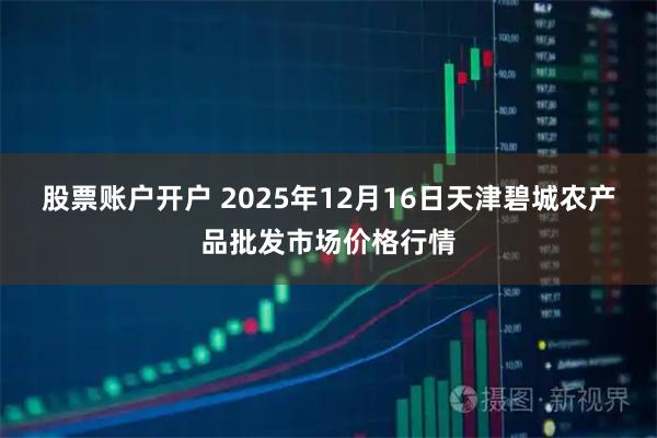 股票账户开户 2025年12月16日天津碧城农产品批发市场价格行情