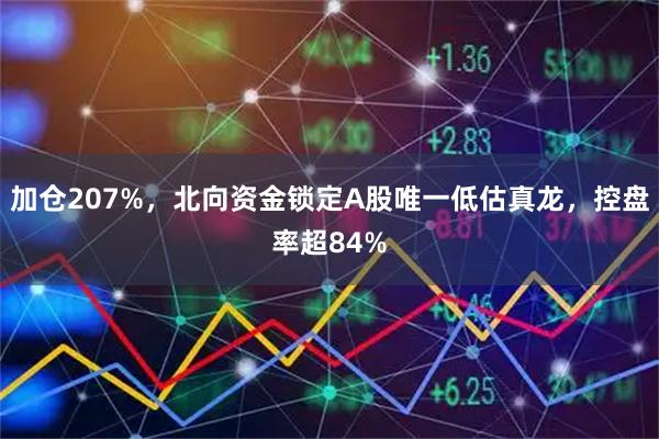 加仓207%，北向资金锁定A股唯一低估真龙，控盘率超84%