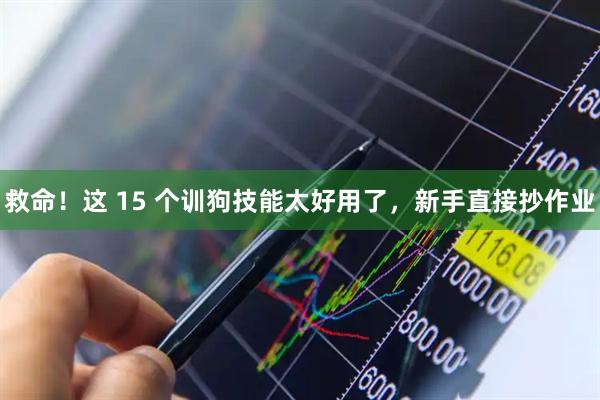 救命！这 15 个训狗技能太好用了，新手直接抄作业