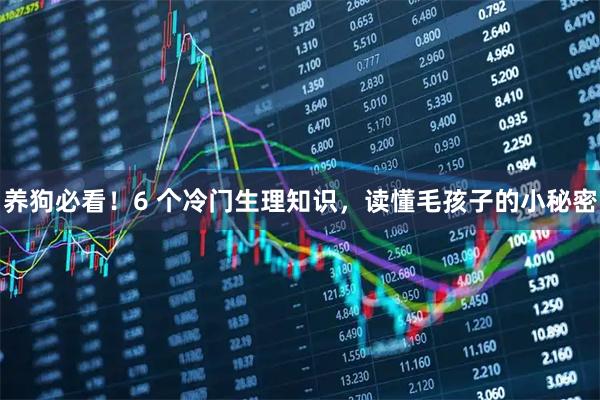 养狗必看！6 个冷门生理知识，读懂毛孩子的小秘密