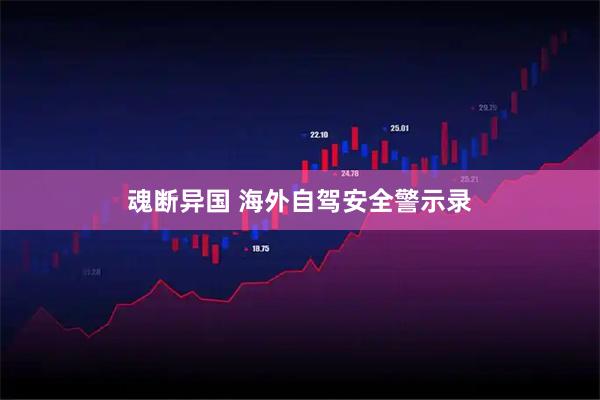 魂断异国 海外自驾安全警示录