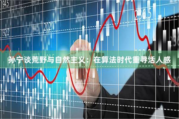 孙宁谈荒野与自然主义：在算法时代重寻活人感