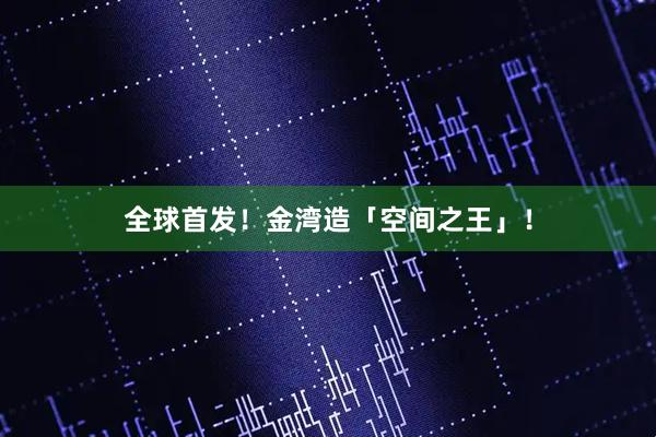 全球首发!金湾造「空间之王」!