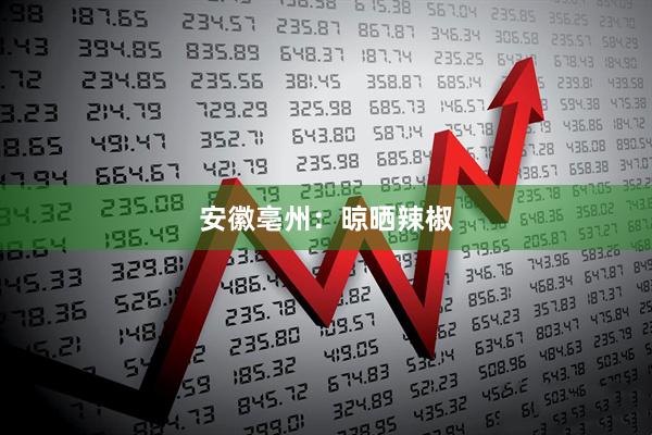 安徽亳州：晾晒辣椒